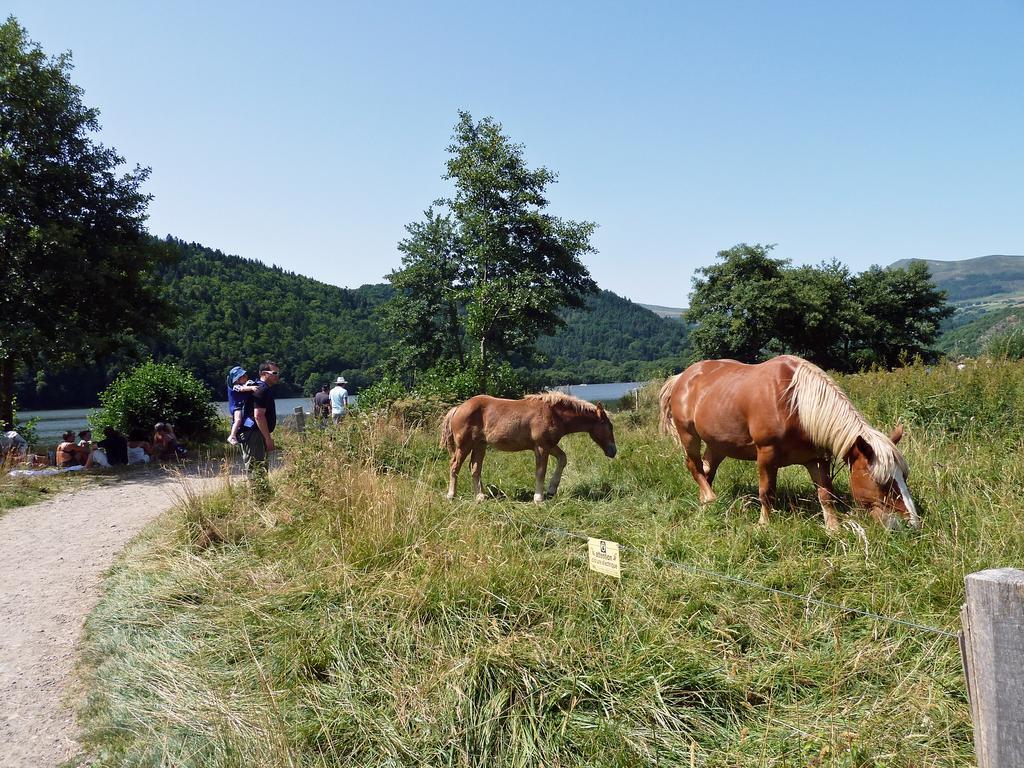 Vila Les Chenets Chambon-sur-Lac Exteriér fotografie